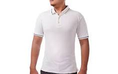 Plain T Shirt - Polo Neck